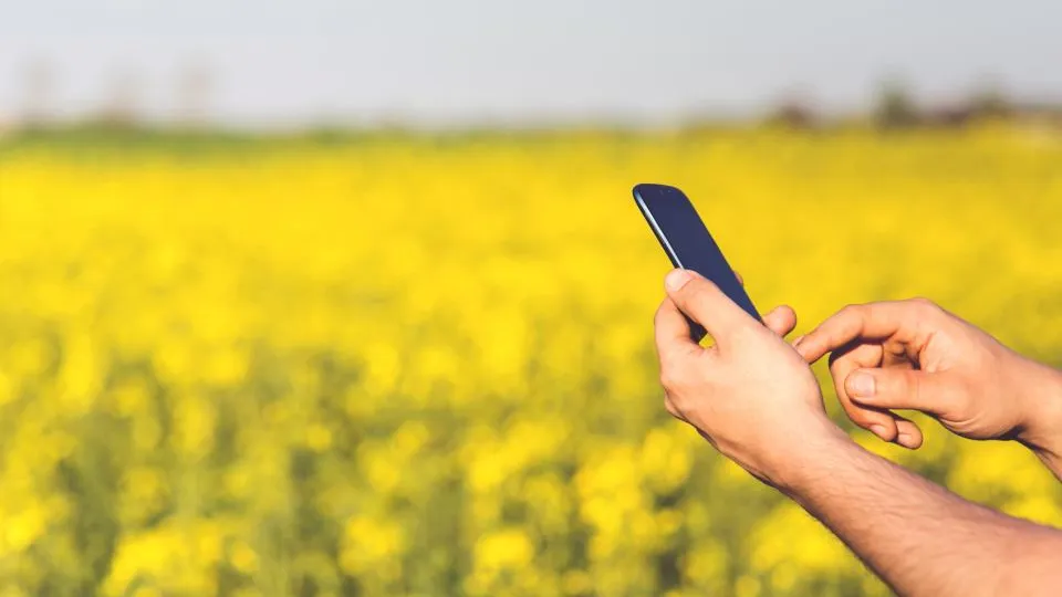Contact Us page checklist: phone, map, form and working hours